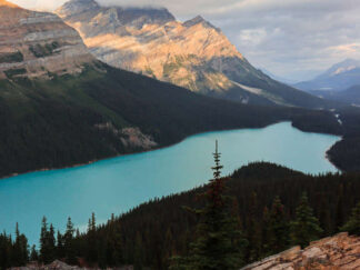 Peyto Lake, Alberta, Canada