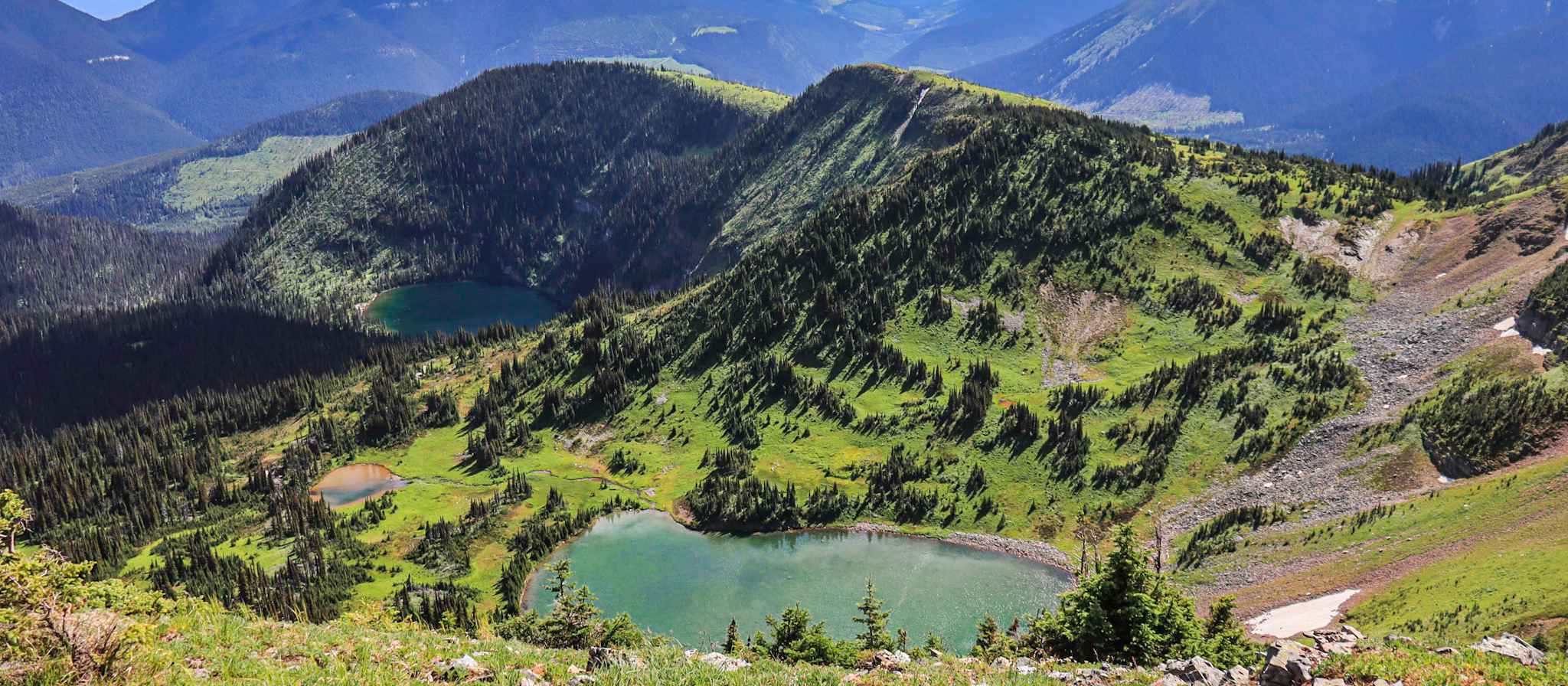 subalpine meadows in valley bottom