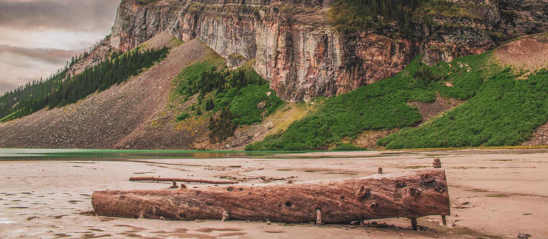 Driftwood on Mountain Lake