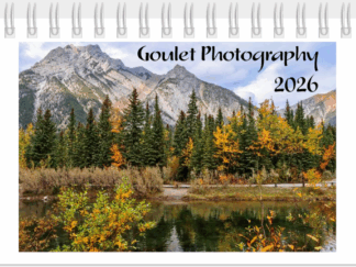 2026 Desk Calendar - 4.5” x 8.5"